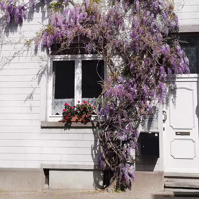 Cabinet privé de Mme Durieux à Woluwe saint Lambert - Bruxelles